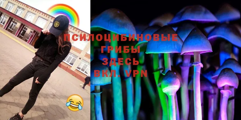 Псилоцибиновые грибы MAGIC MUSHROOMS  блэк спрут сайт  Энем 